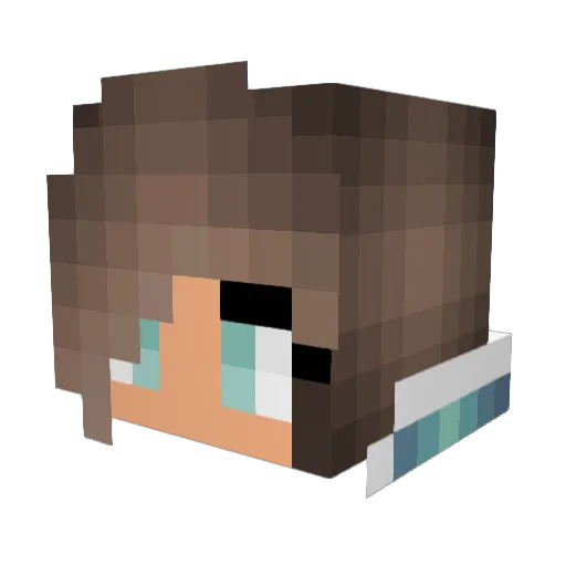 Tagenator Minecraft avatar head, 3D render