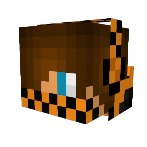 Tager225 Minecraft avatar head, 3D render