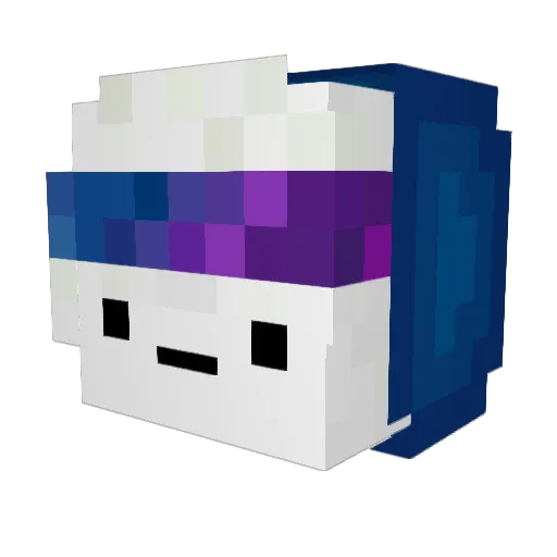 Taggenix Minecraft avatar head, 3D render