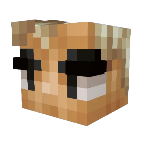 Tagle12 Minecraft avatar head, 3D render