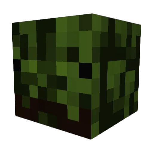 Tagonson Minecraft avatar head, 3D render