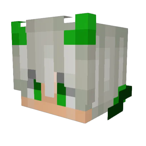 Taha_Ronin20 Minecraft avatar head, 3D render