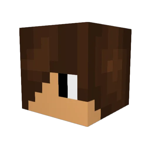 Tahamerrigan_o Minecraft avatar head, 3D render