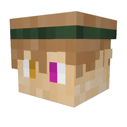 Tahilan Minecraft avatar head, 3D render
