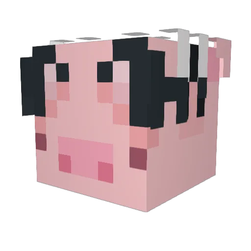 Tahiro_YAK Minecraft avatar head, 3D render