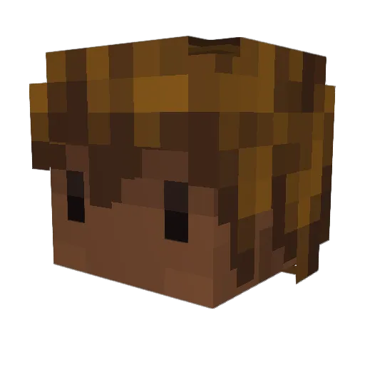 Tahirou Minecraft avatar head, 3D render