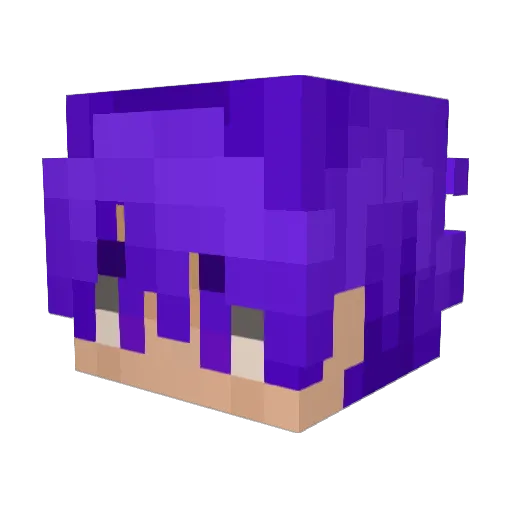 Tahj1rVT Minecraft avatar head, 3D render