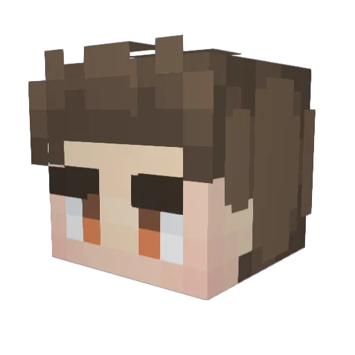 Tahj227 Minecraft avatar head, 3D render