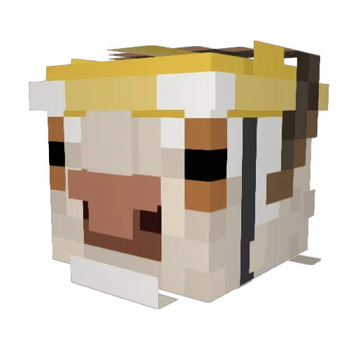 Tahlwyn Minecraft avatar head, 3D render