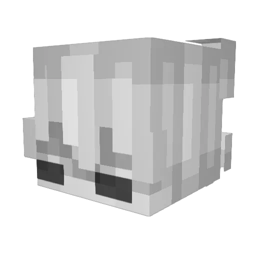 Tahsin001 Minecraft avatar head, 3D render