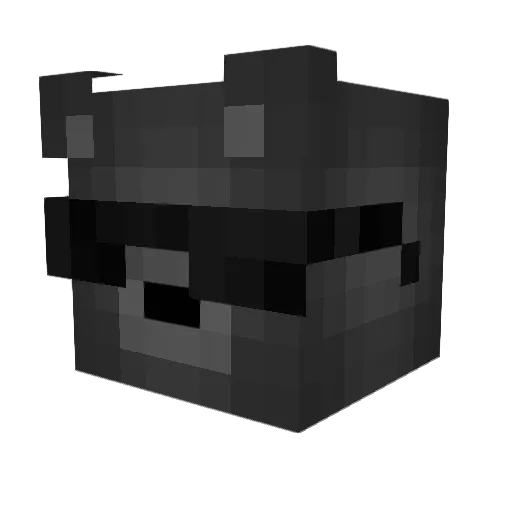 TahsinSR Minecraft avatar head, 3D render