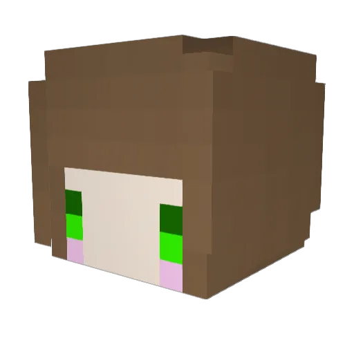Tai0822 Minecraft avatar head, 3D render