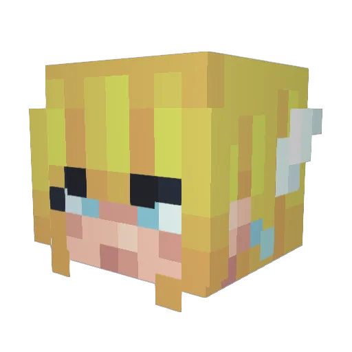 TaiKwonDo_ Minecraft avatar head, 3D render