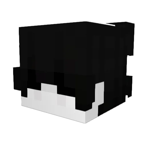 TaiNoAru Minecraft avatar head, 3D render