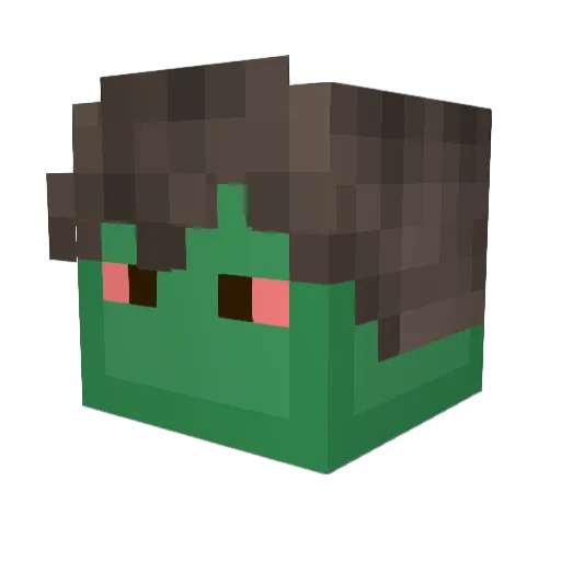 TaiTen67 Minecraft avatar head, 3D render