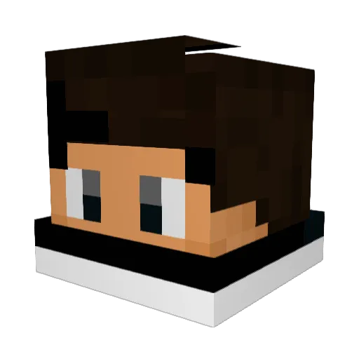 TaiToniYT Minecraft avatar head, 3D render
