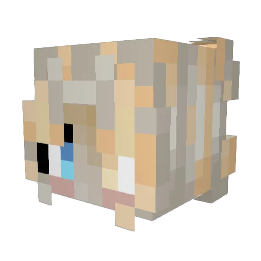 Tai_chi Minecraft avatar head, 3D render