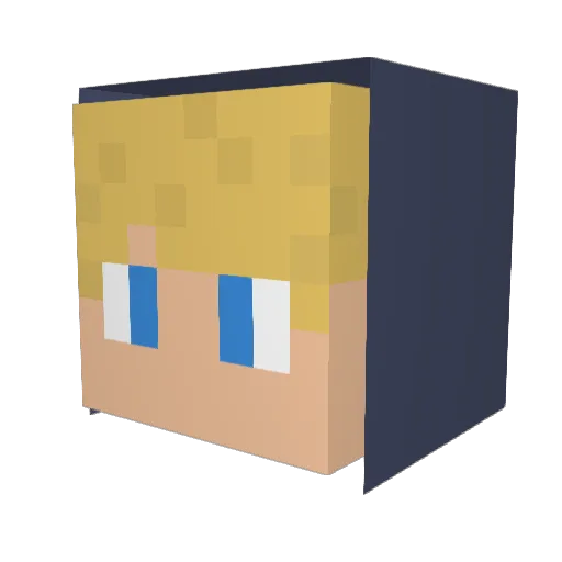 Taibau Minecraft avatar head, 3D render