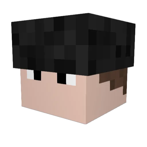 Taidobr Minecraft avatar head, 3D render