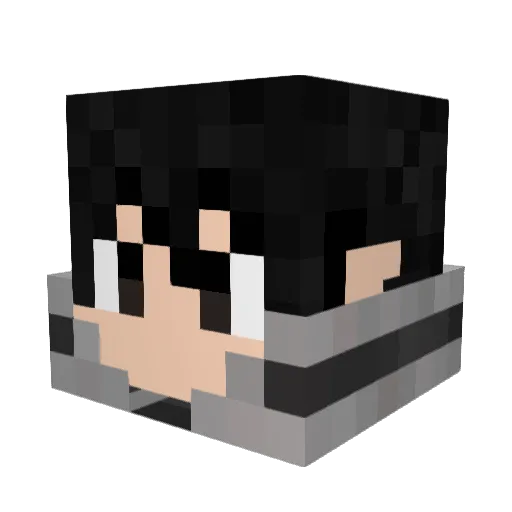 Taiga22 Minecraft avatar head, 3D render