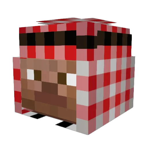 Taiga81 Minecraft avatar head, 3D render