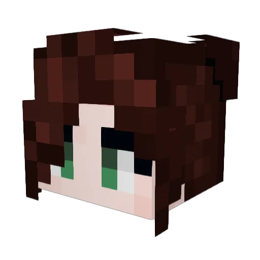 Taiga_Demon Minecraft avatar head, 3D render