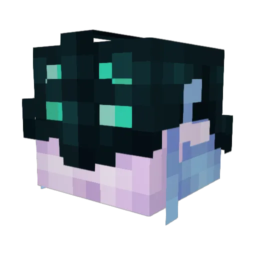 Taigungu Minecraft avatar head, 3D render