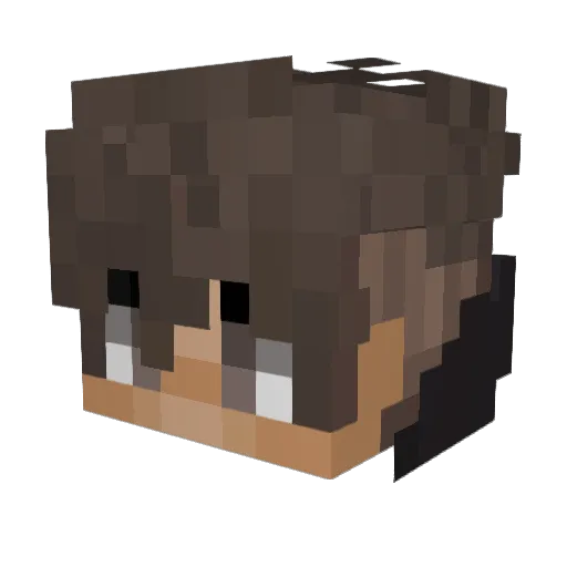 Taiikox Minecraft avatar head, 3D render