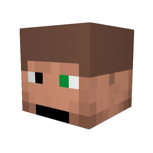Taijura Minecraft avatar head, 3D render