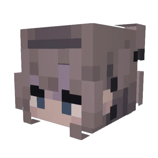 Taiko__X Minecraft avatar head, 3D render