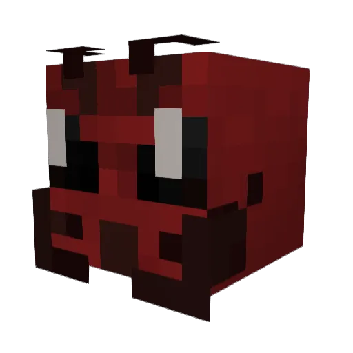 Tailanis Minecraft avatar head, 3D render