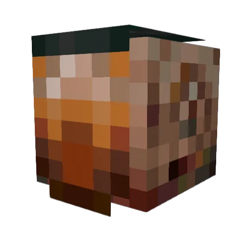 Taillessbeef196 Minecraft avatar head, 3D render