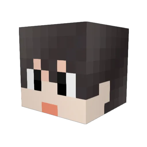 Tailry Minecraft avatar head, 3D render