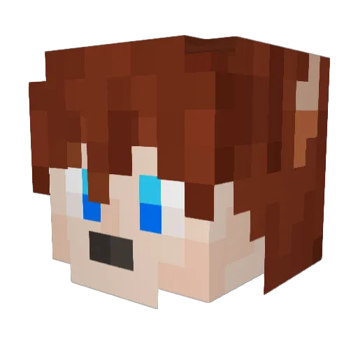TailsGO Minecraft avatar head, 3D render