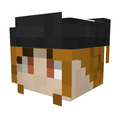 TailsNeuD Minecraft avatar head, 3D render