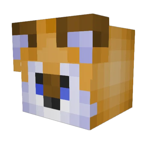 TailsP2 Minecraft avatar head, 3D render