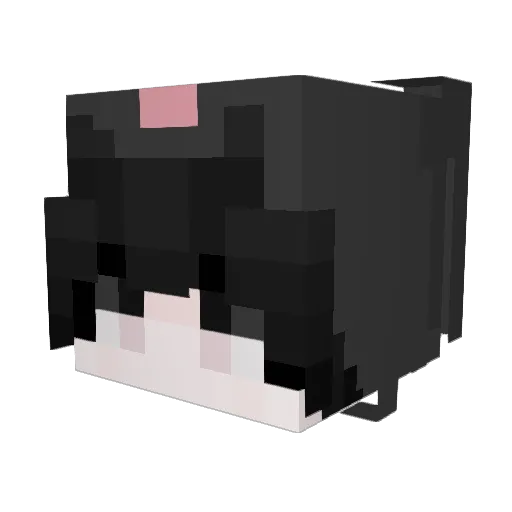 TailsPilled Minecraft avatar head, 3D render