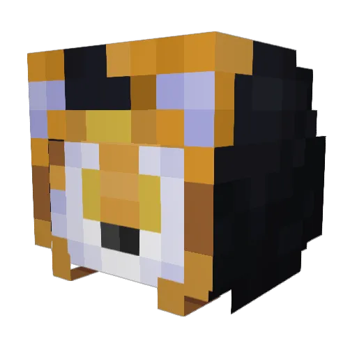 Tails_Craft Minecraft avatar head, 3D render