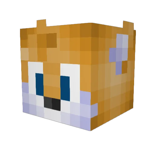 Tails_D Minecraft avatar head, 3D render