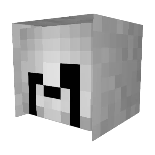 Tailsbone Minecraft avatar head, 3D render