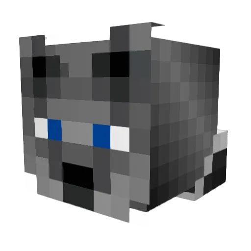 Tailside Minecraft avatar head, 3D render