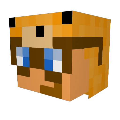 Tailsik Minecraft avatar head, 3D render