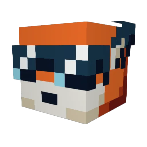 Tailso3717 Minecraft avatar head, 3D render