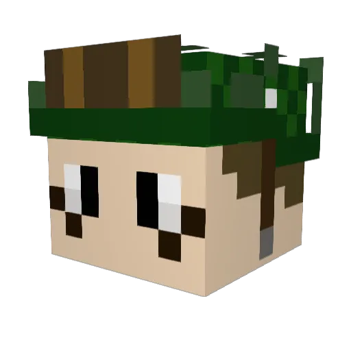 Tailspin_13 Minecraft avatar head, 3D render