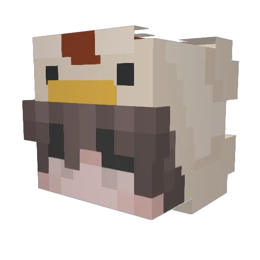 Tailstaox Minecraft avatar head, 3D render