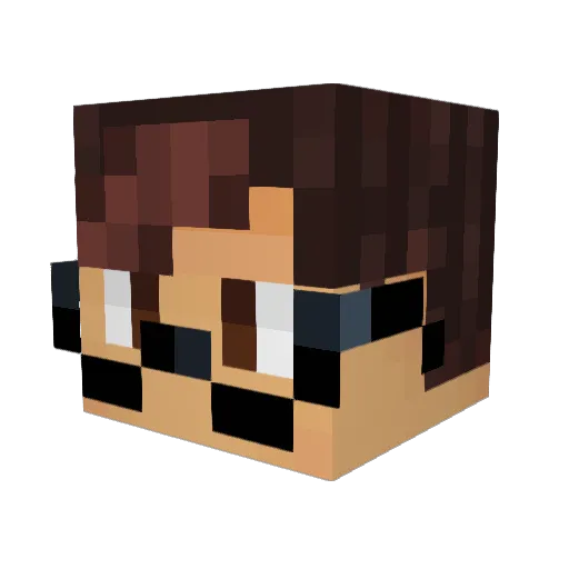 Tailster13 Minecraft avatar head, 3D render