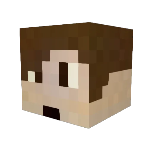 Tailz2012 Minecraft avatar head, 3D render