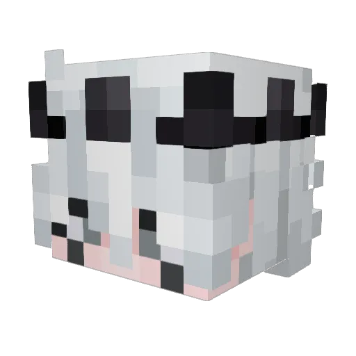 Tainy__ Minecraft avatar head, 3D render