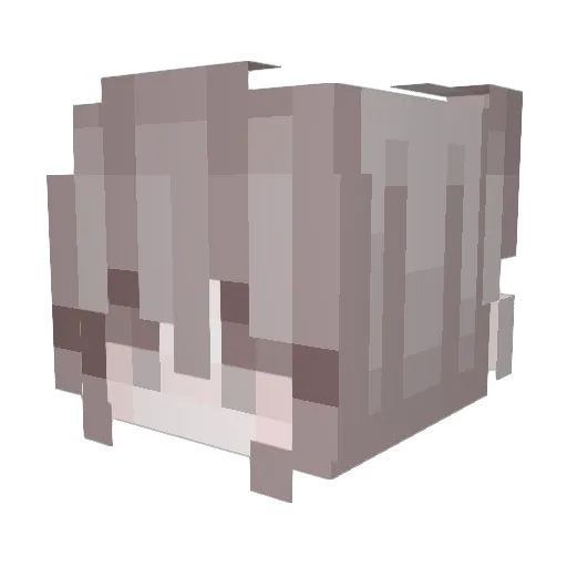 Tairitsu1980 Minecraft avatar head, 3D render