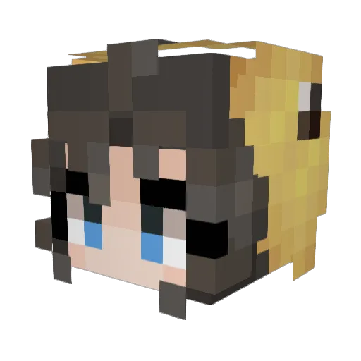 Taitastic Minecraft avatar head, 3D render